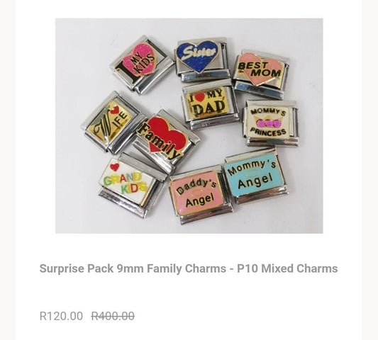 Surprise Pack 9mm Family Charms -P10 Mixed Charms